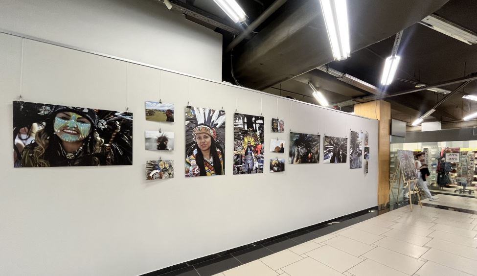 Agnis Šērs - fotoizstāde - "Zilā brieža meklējumos"