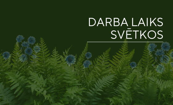 Darba laiks svētkos